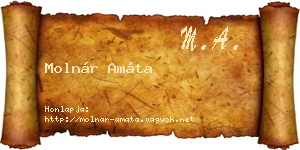 Molnár Amáta névjegykártya