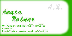 amata molnar business card